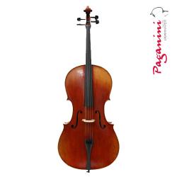 PAGANINI 파가니니 첼로 Special 스페셜 모델