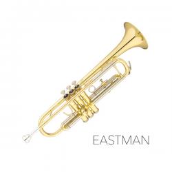 EASTMAN 이스트만 트럼펫 ETR324(구420G) (Bb)