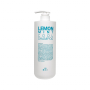 [일진] 아이코 약산성 레몬 민트 쿨 샴푸 1000ml
