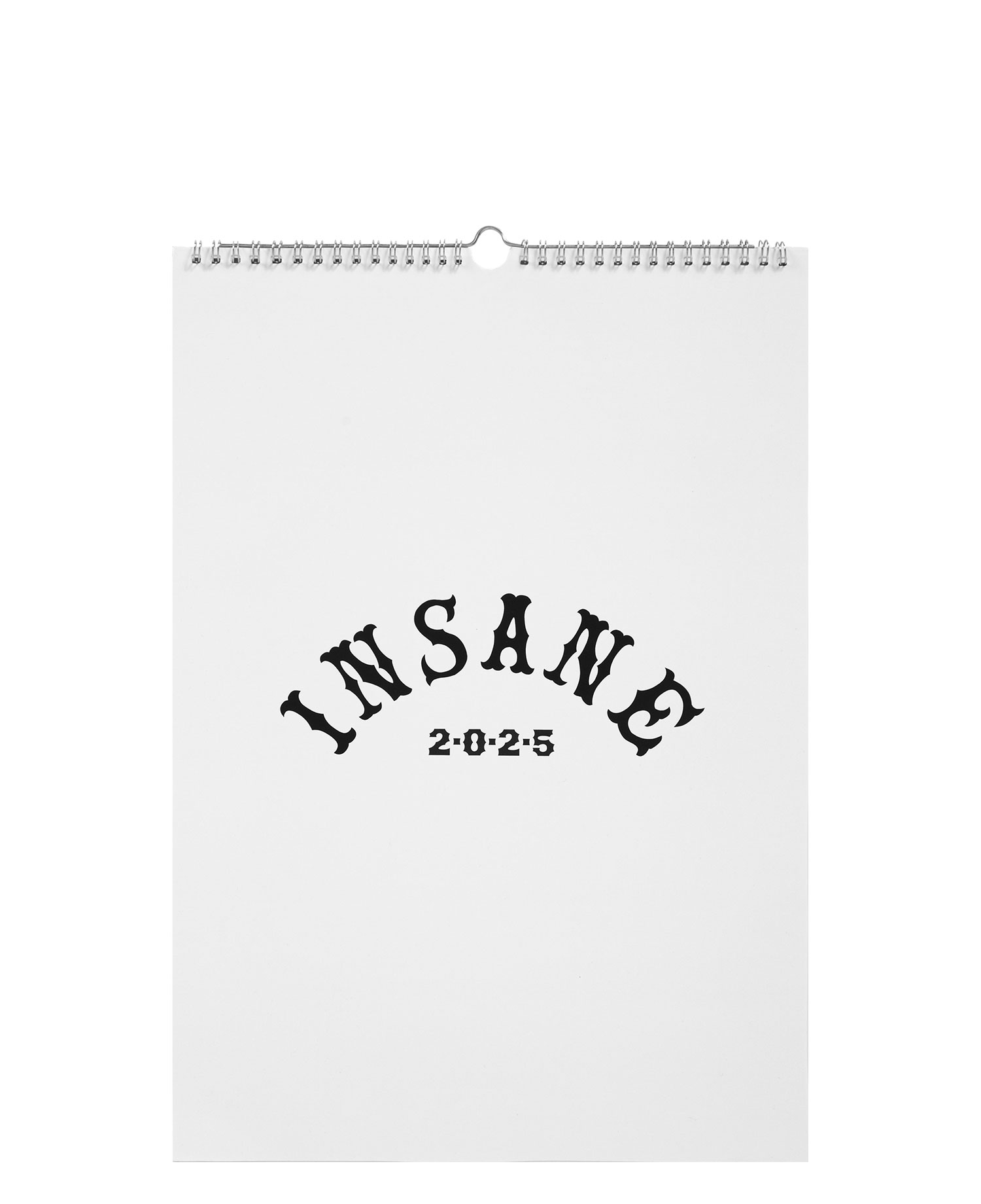 INSANE 2025 WALL CALENDAR_OFF WHITE