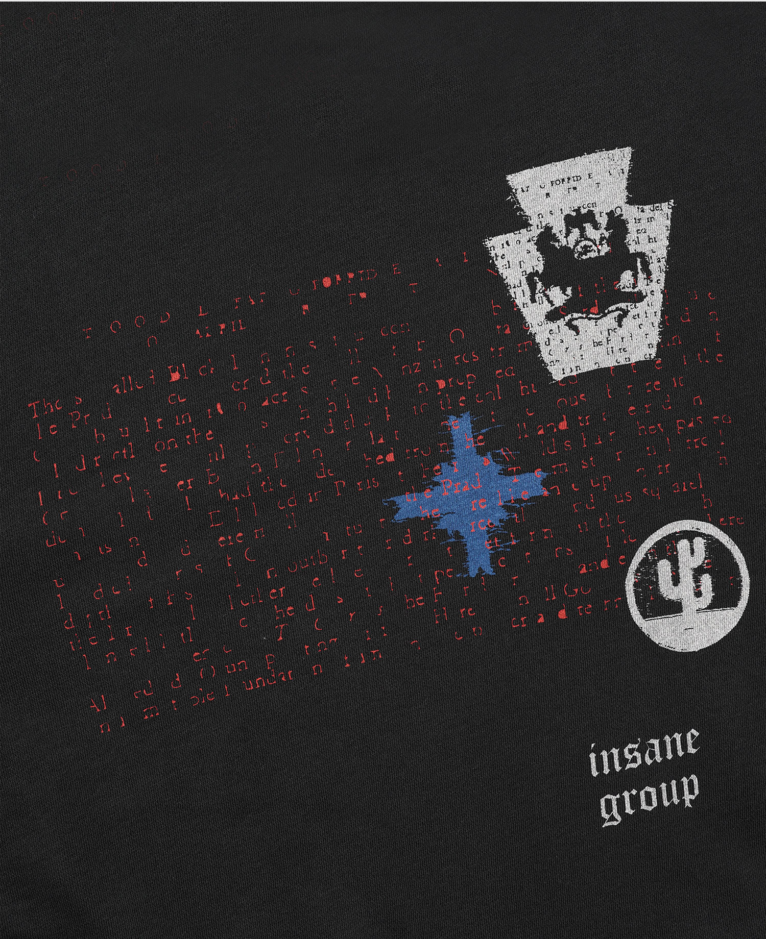 INSANE GRAPHIC SWEAT SHIRT_WASHED BLACK