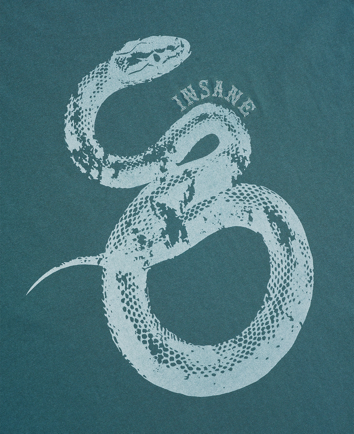 INSANE SNAKE GRAPHIC LONG SLV_TEAL