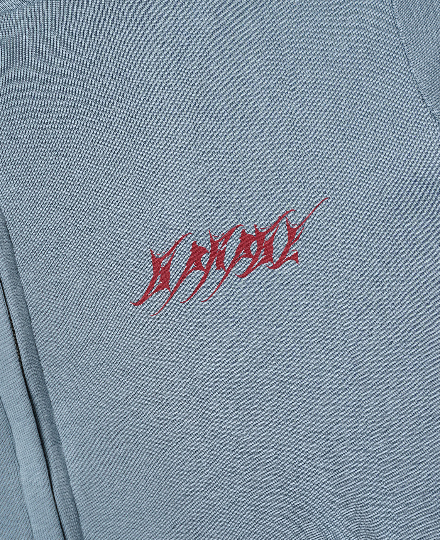 INSANE WOMEN LOGO ZIP-UP JERSEY_LIGHT BLUE