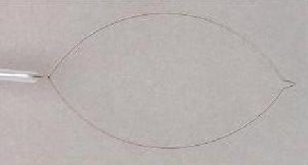 내시경용 일회용 스네어 (Disposable Polypectomy Snares)