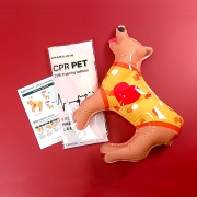 창조인 - 개모형 CPR룬