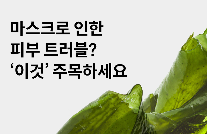 이전글