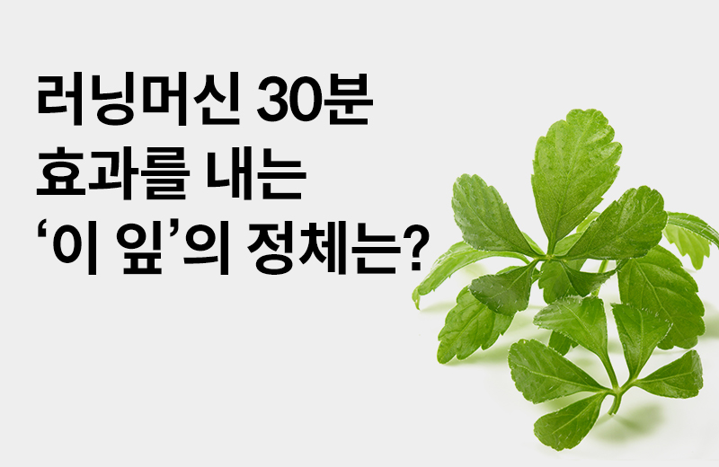 [돌외잎 효능] 지방분해 스위치를 켜는, 돌외잎의 3가지 효능