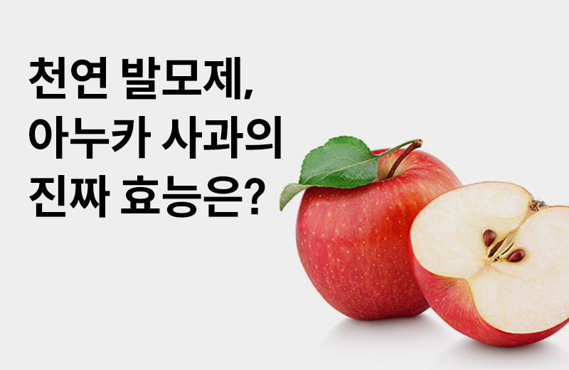 [아누카 사과 효능] 빽빽한 모발의 비결, 아누카 사과의 3가지 효능