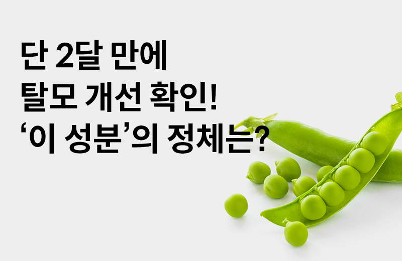 [아나게인(Anagain™) 효능] 탈모 개선 효능이 확인된 아나게인의 3가지 효능