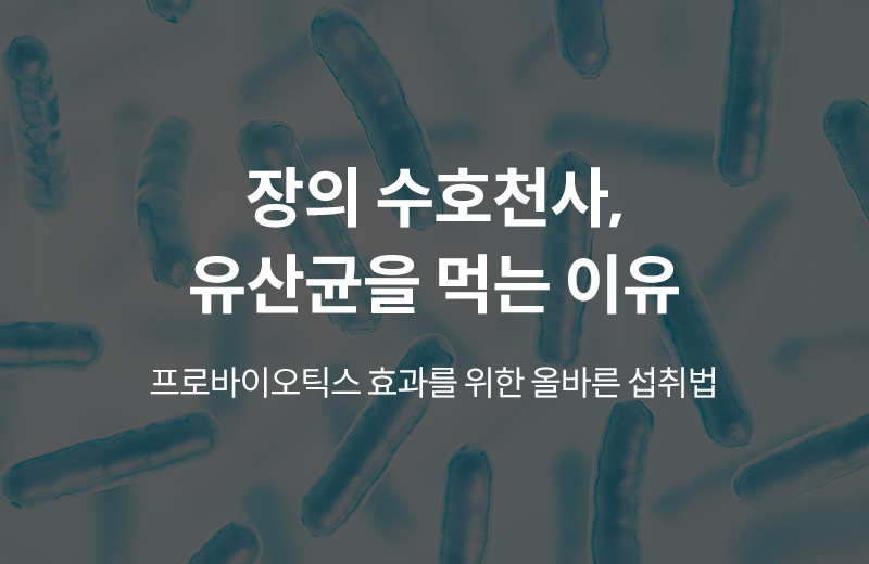 알쓸건강_썸네일-16.jpg^|^알쓸_장유산균(1000235)_660x405.jpg^|^카카오공유하기_알쓸건강_16.jpg