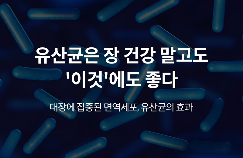 알쓸건강_썸네일-14.jpg^|^알쓸_유산균임상연구(1000237)_660x405.jpg^|^카카오공유하기_알쓸건강_14.jpg