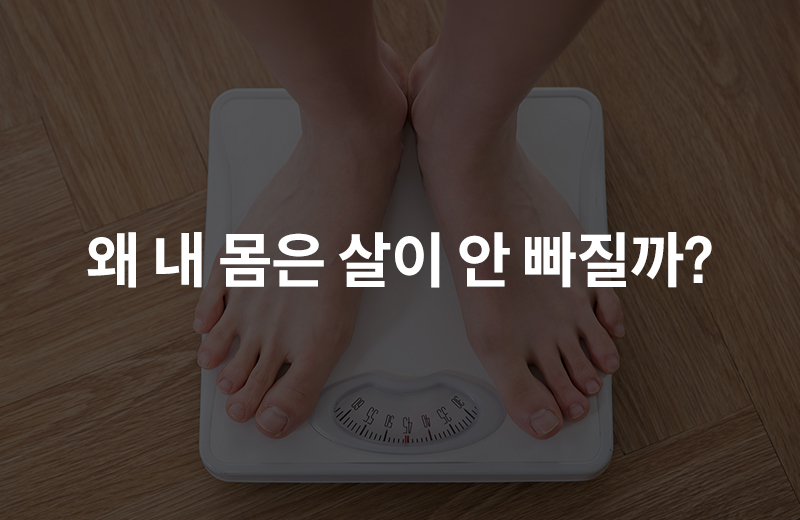 알쓸_유행(1042525).jpg^|^알쓸_유행(1042525)_660x405.jpg^|^알쓸_유행(1042525)_카카오공유.jpg