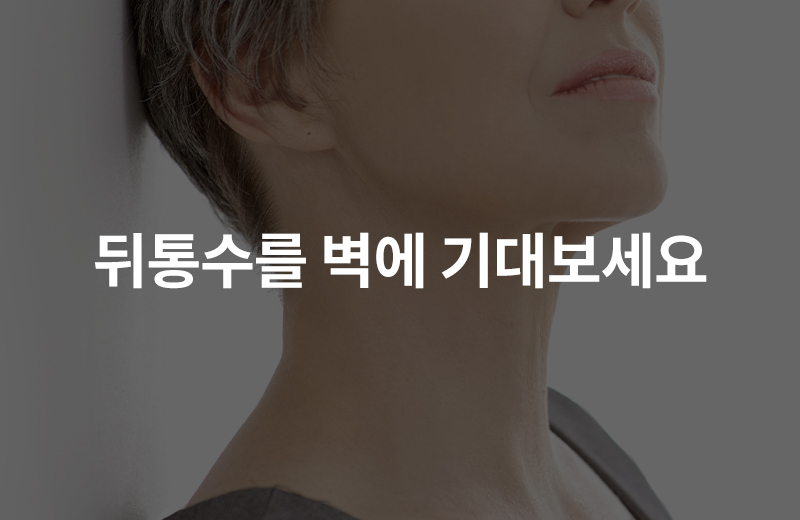 알쓸_걷기(1055190).jpg^|^알쓸_걷기(1055190)_660x405.jpg^|^알쓸_걷기(1055190)_카카오공유.jpg