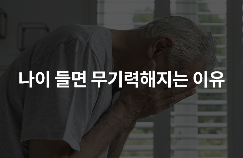 알쓸_혈관성우울증(1056208).jpg^|^알쓸_혈관성우울증(1056208)c_660x40.jpg^|^알쓸_혈관성우울증(1056208)_카카오공유.jpg