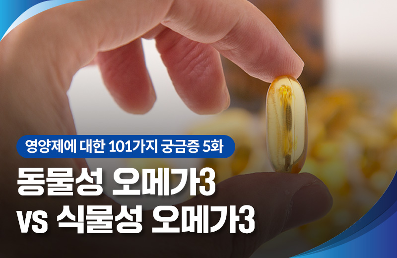 다음글