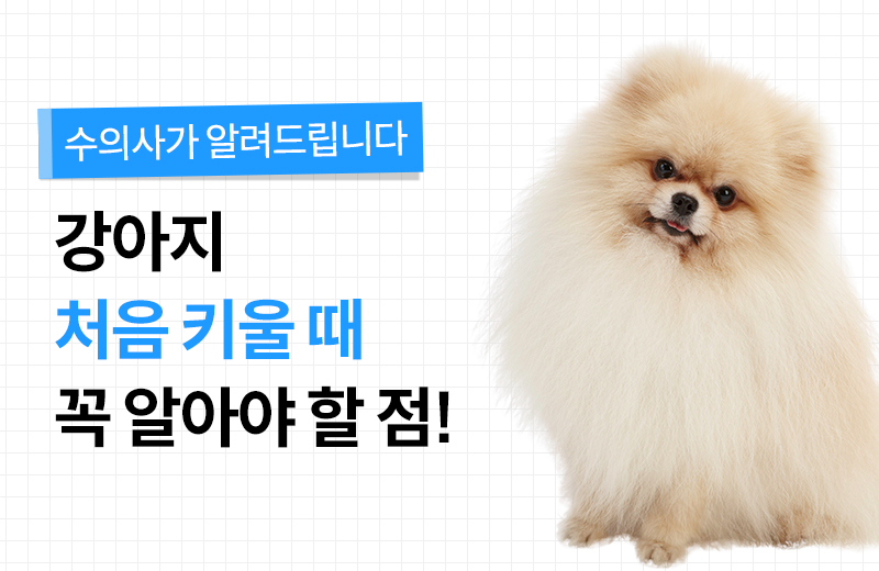 펫 건강정보-1.jpg