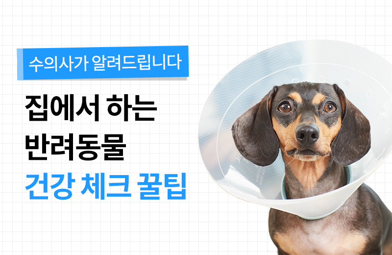 이전글