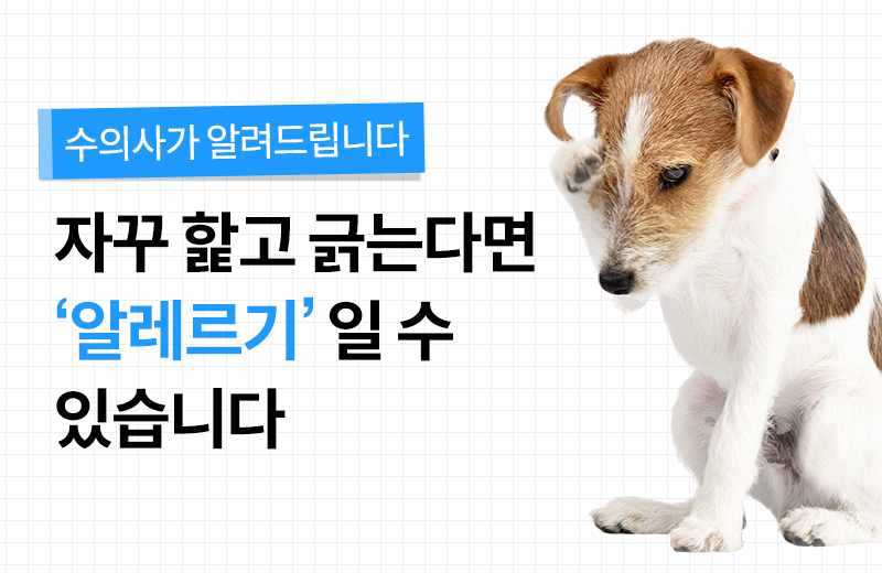 다음글