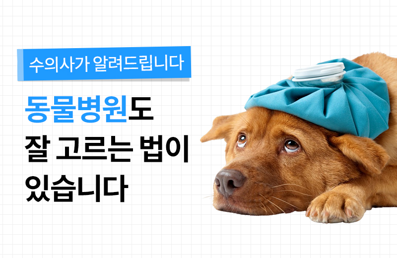 다음글