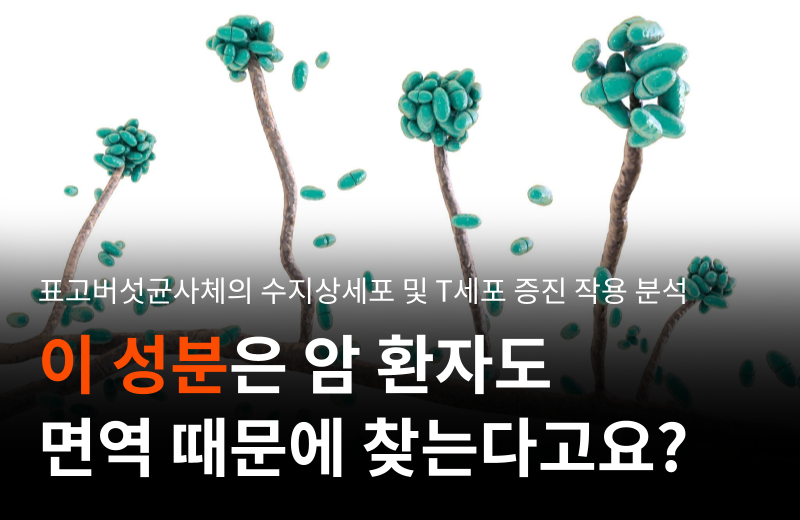 shiitake-mushroom-mycelium-ahcc-immune-benefits.png