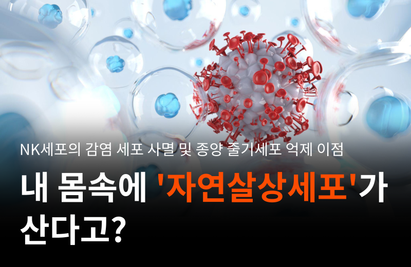 nk-cell-immune-response-tumor-inhibition.png