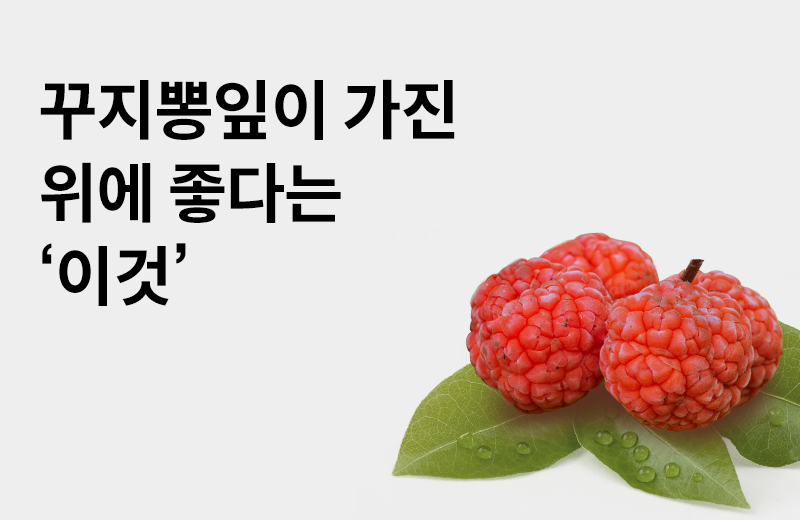 논읽약_꾸지뽕(1061104).jpg