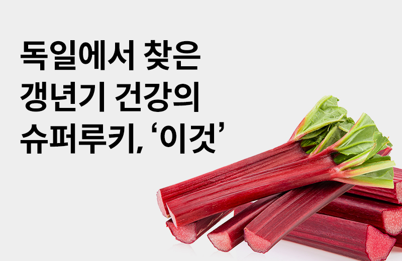 논읽약_루바브(1042657).jpg