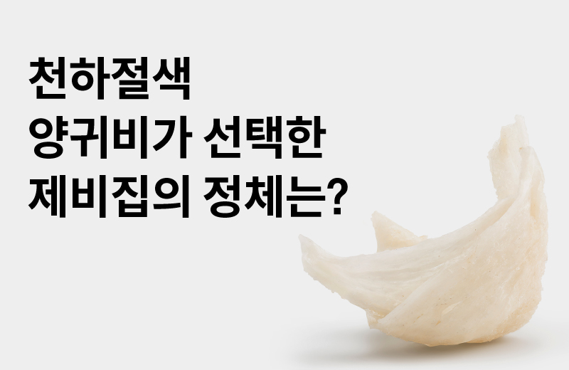 논읽약_제비집(1002311).jpg