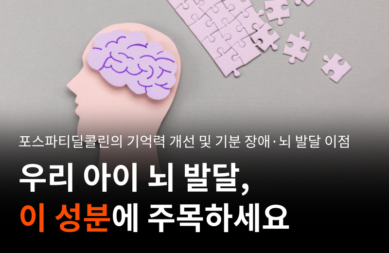 phosphatidylcholine-memory-brain-development.png