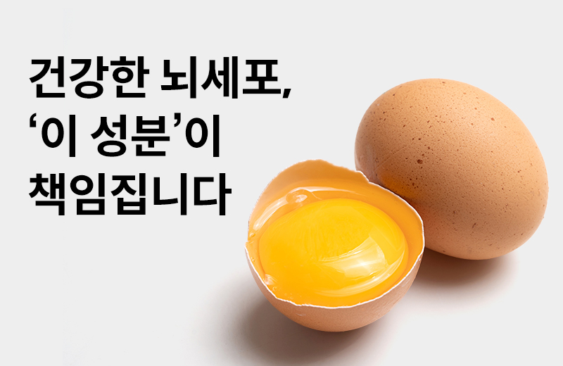 논읽약_포스파티딜콜린(1029389).jpg