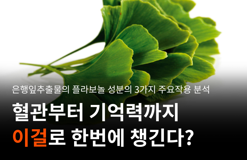이전글