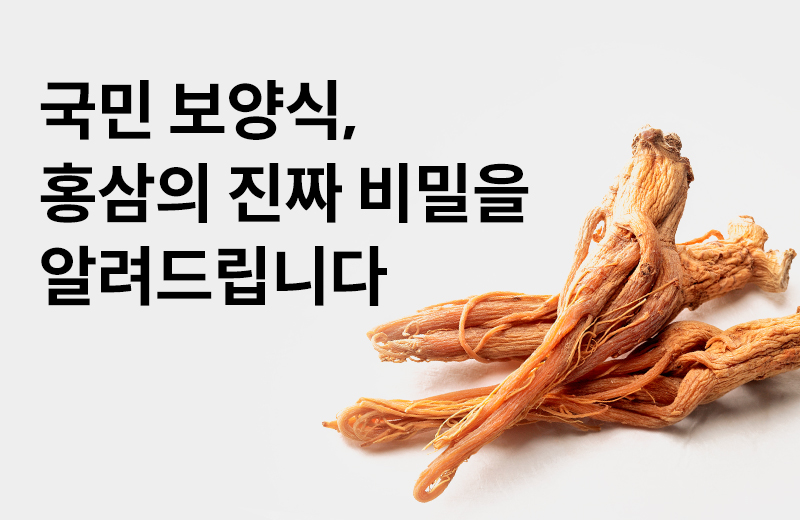 논읽약_홍삼(1034364).jpg