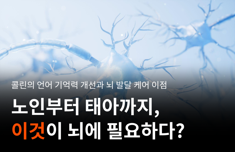 다음글