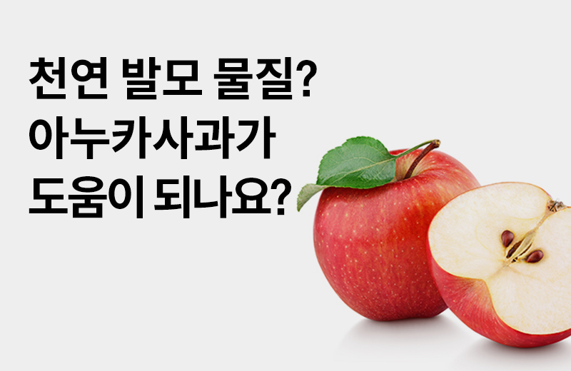 논읽약_아누카사과(1061631).jpg
