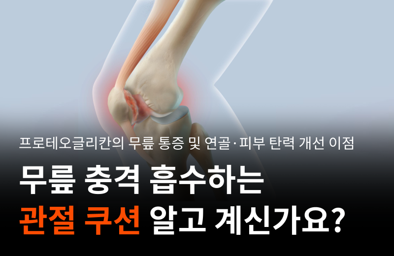 salmon-proteoglycan-knee-pain-cartilage-care.png
