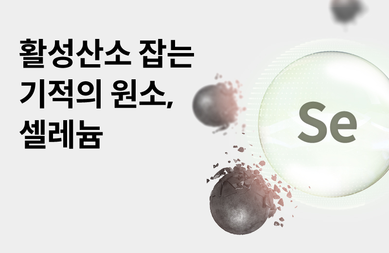 논읽약_셀레늄(1002312).jpg
