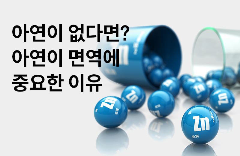 다음글