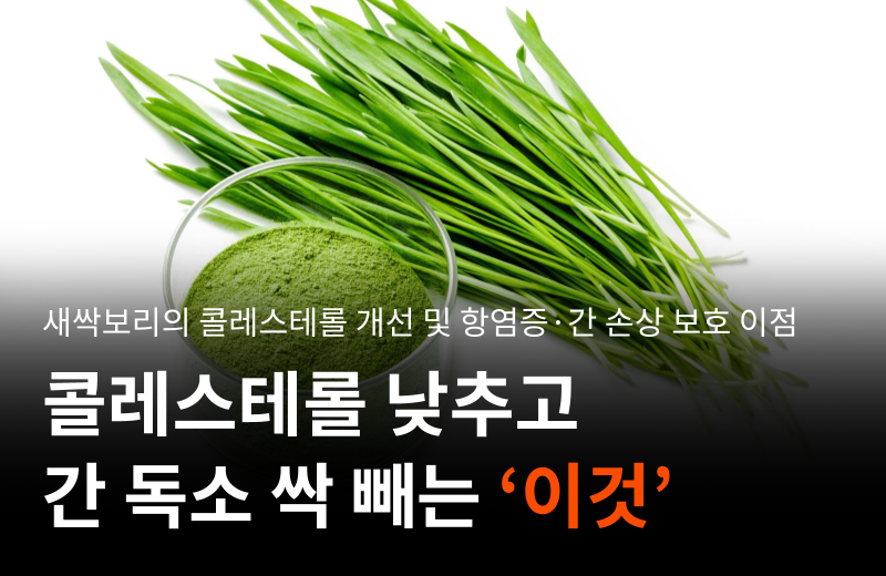 barley-sprout-cholesterol-anti-inflammation-liver.png