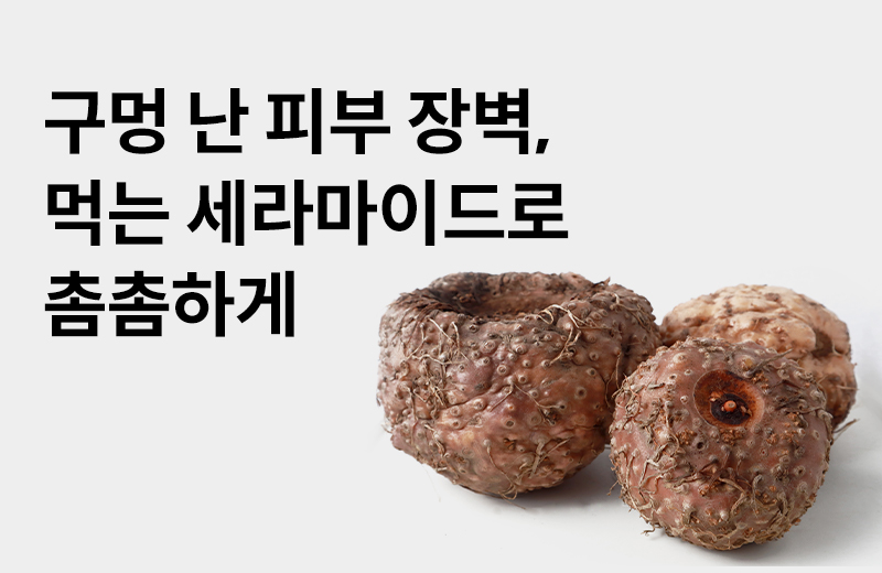 논읽약_세라마이드(1002283).jpg