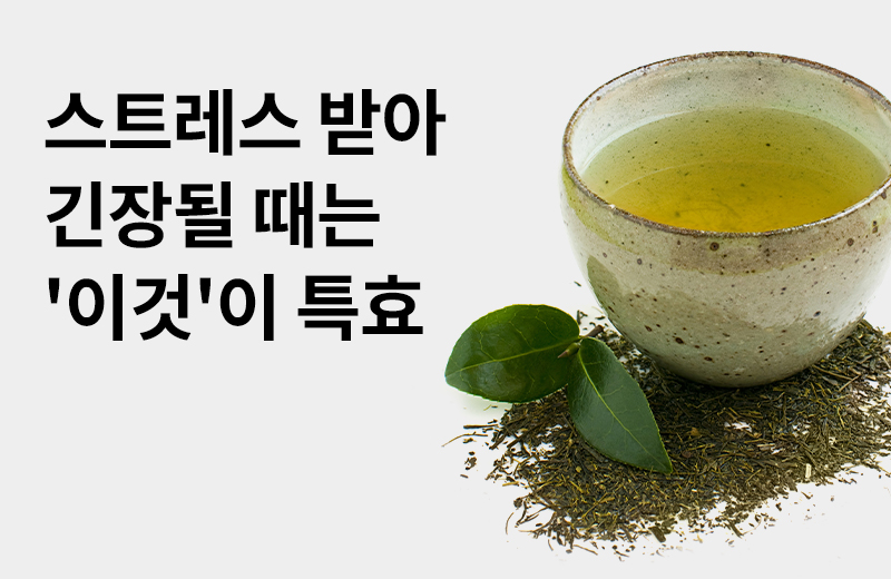 논읽약_테아닌(1003474).jpg