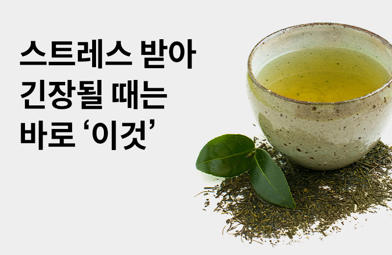 논읽약_테아닌(1003474).jpg