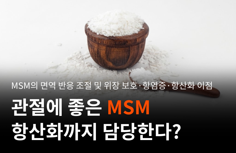 msm-dietary-sulfur-immune-response-gastric-protection.png