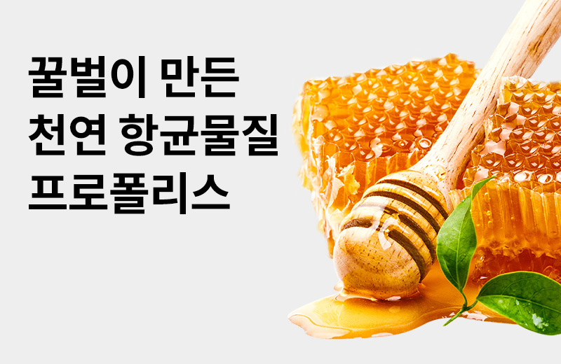 논읽약_프로폴리스(1004627).jpg