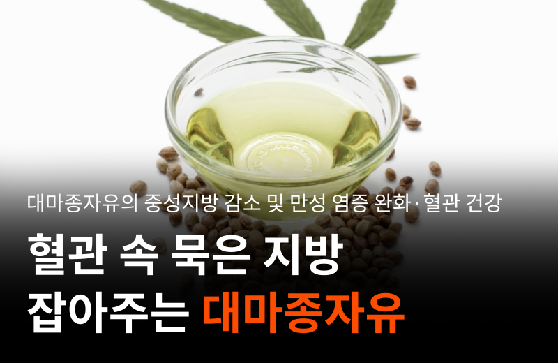 [대마종자유] 대마의 씨앗이 몸에 좋은 3가지 이유