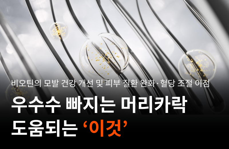 이전글