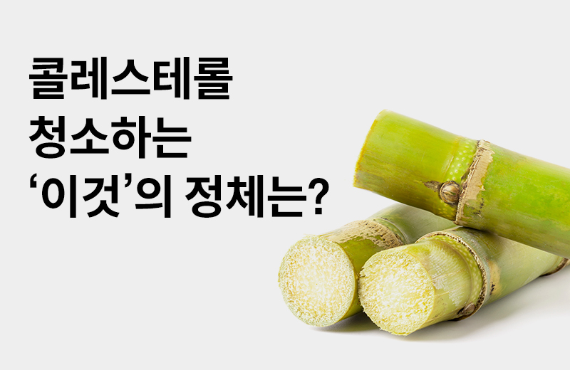 논읽약_폴리코사놀.jpg