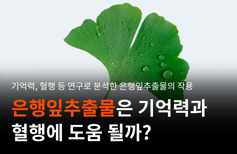 ginkgo-biloba-extract-memory-blood-circulation.png