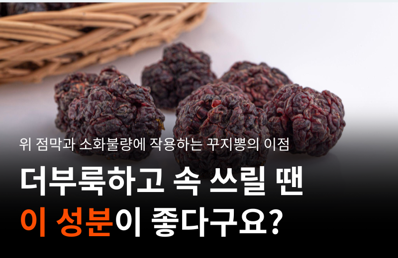 cudrania-leaf-extract-stomach-health.png