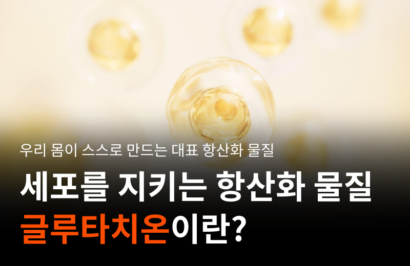 이전글