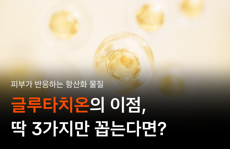 이전글